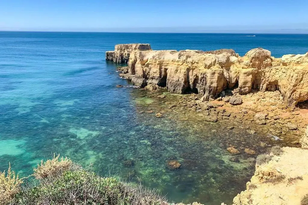 Plant Paradise Apartment Albufeira