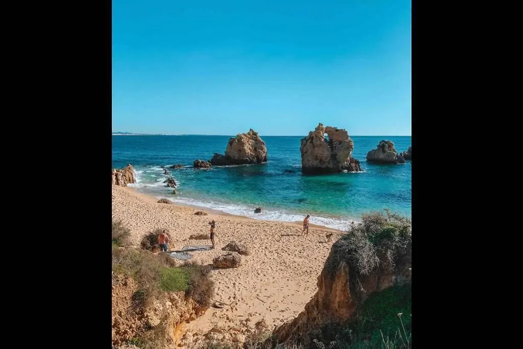 Plant Paradise Apartment Albufeira