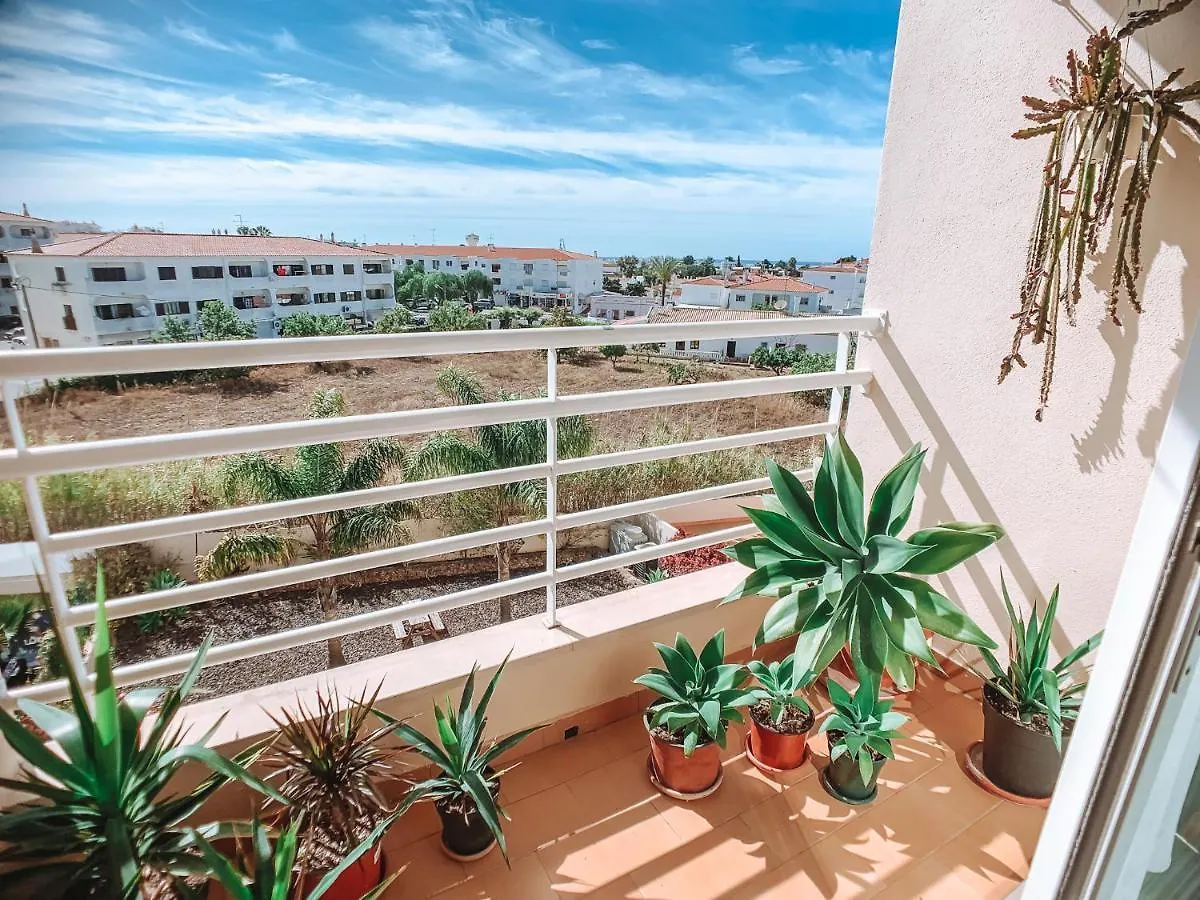 Plant Paradise Apartment Albufeira 0*,